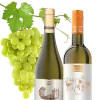ikona-biele-vino
