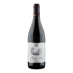 Pinot Noir (Rulandské Modré) 2019