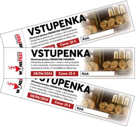 Vstupenka na podujatie WineFest Galanta 2025 pre 1 osobu